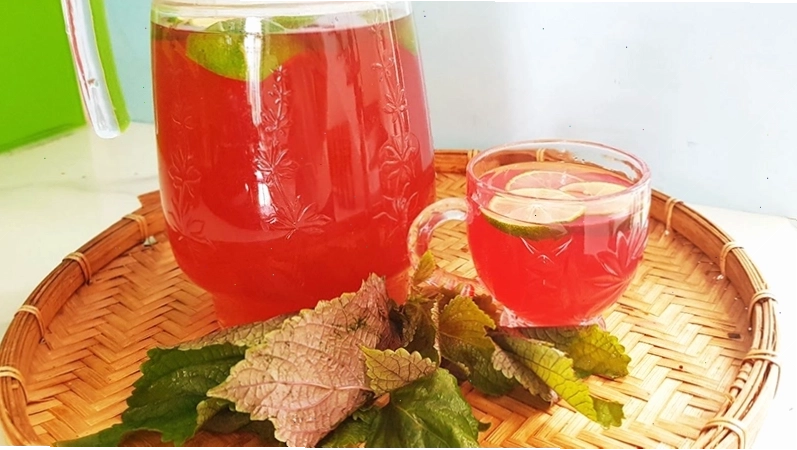 Nước lá tía tô giúp giải nhiệt ngày hè