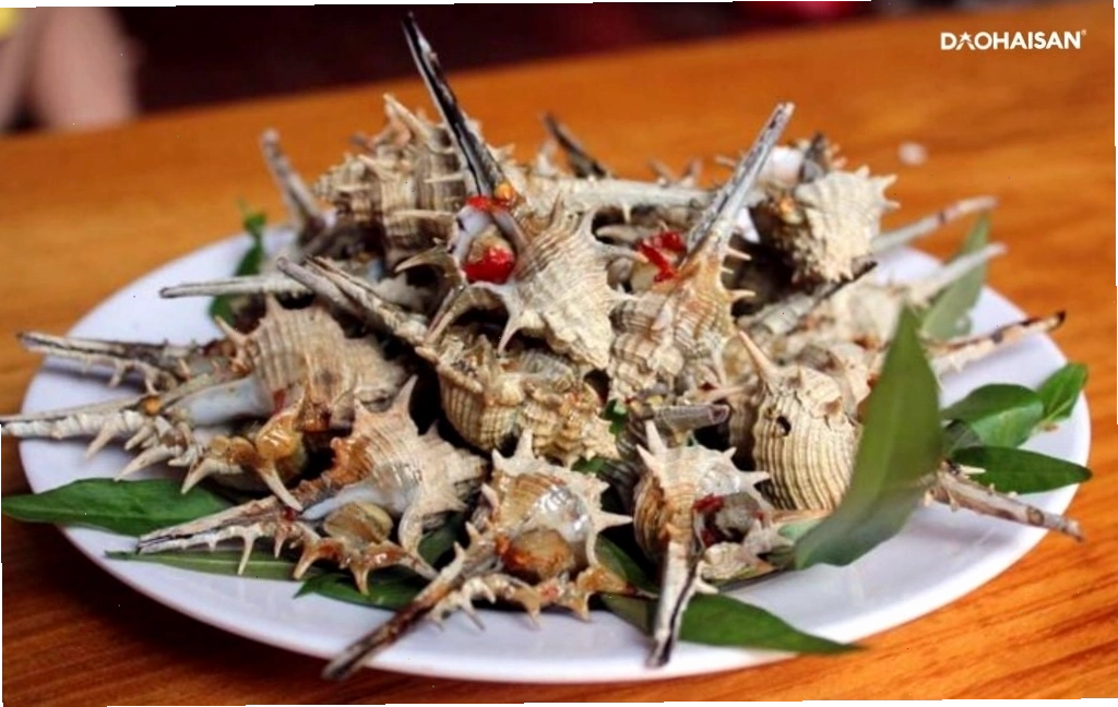 Ốc gai với hương vị thơm ngon hấp dẫn