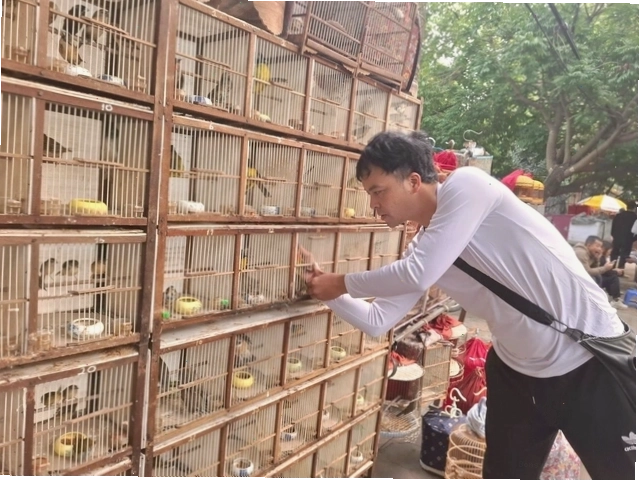 Phụ kiện chăm sóc chim cảnh tại chợ