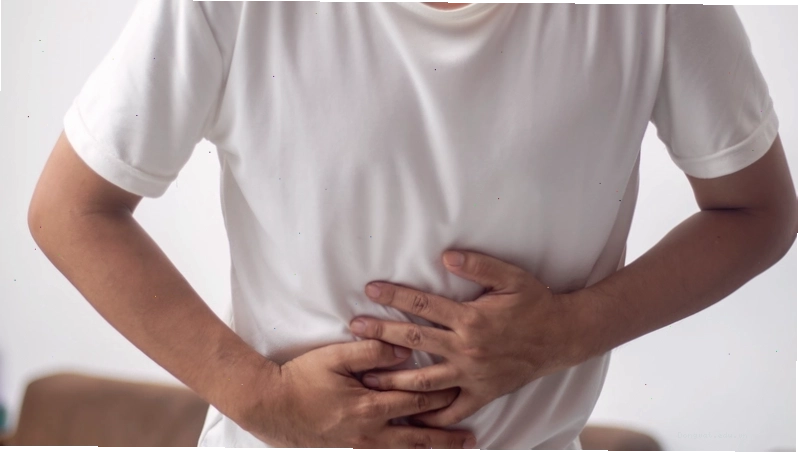 Quả ổi chín mọng, bổ dưỡng, có thể là món ăn vặt tốt cho chó