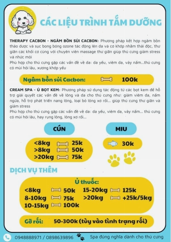 Quá trình tắm và massage cho mèo tại spa