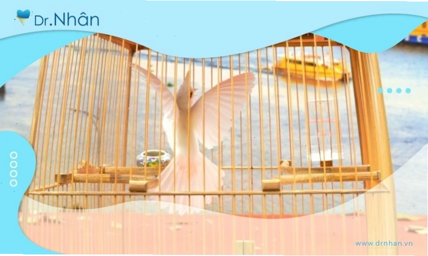 Rộn ràng hội thi chim chào mào đột biến tại Hội Hoa Xuân Ất Tỵ 2025