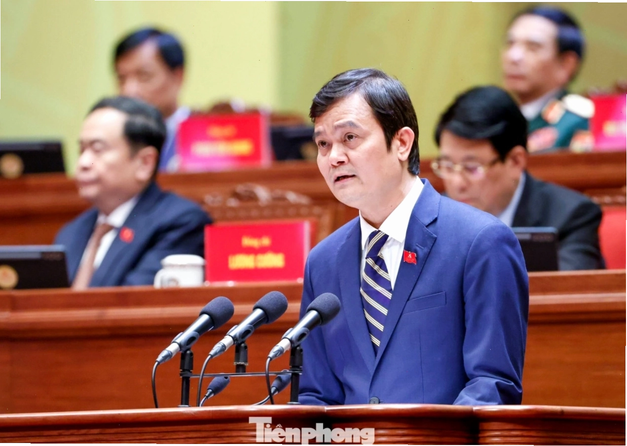 Rùa biển đang bơi trong môi trường tự nhiên trong lành
