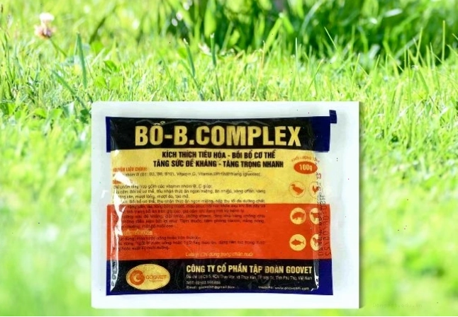 Sản phẩm Bo-B Complex bổ sung vitamin nhóm B cho vật nuôi