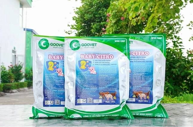 Sản phẩm Goovet Babycitro giúp gà con khỏe mạnh