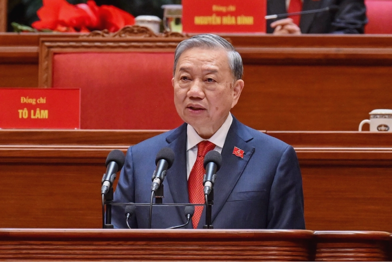 Sơ đồ minh họa cấu tạo yếm rùa trong y học cổ truyền