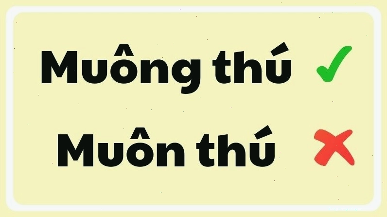 So sánh cách viết muôn thú và muông thú