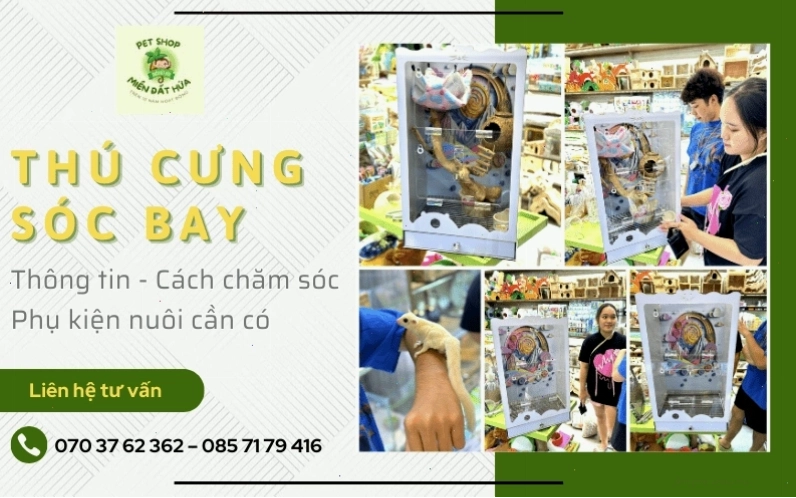 Sóc bay Úc non cần sữa chuyên dụng