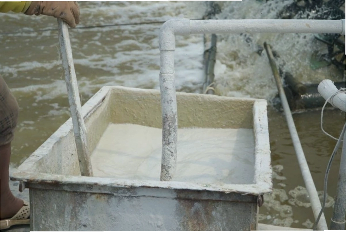 Sử dụng vôi để xử lý ao nuôi là một bước quan trọng