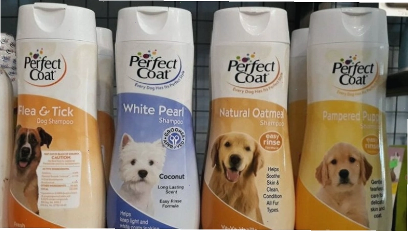 Sữa tắm cho chó con Perfect Coat