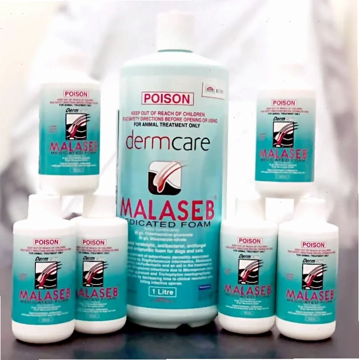 Sữa tắm Malaseb cho chó mèo trị nấm và viêm da