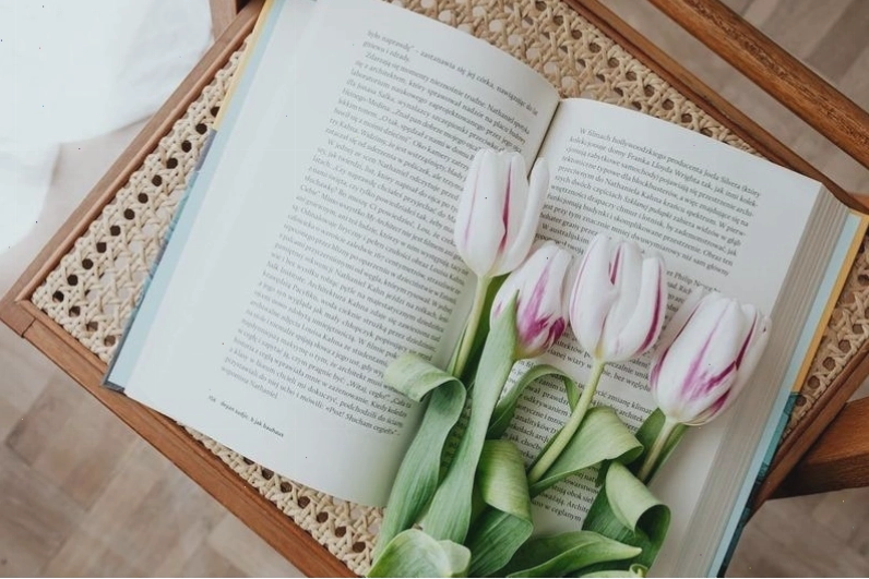 Tải ngay avatar hoa tulip đẹp cho điện thoại của bạn