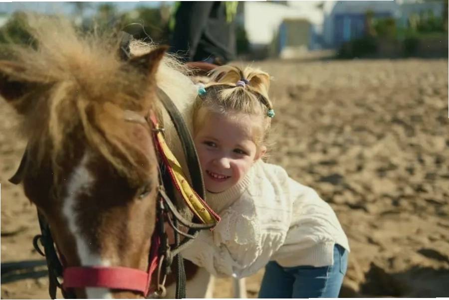 Tập tính sống theo đàn của ngựa lùn Pony