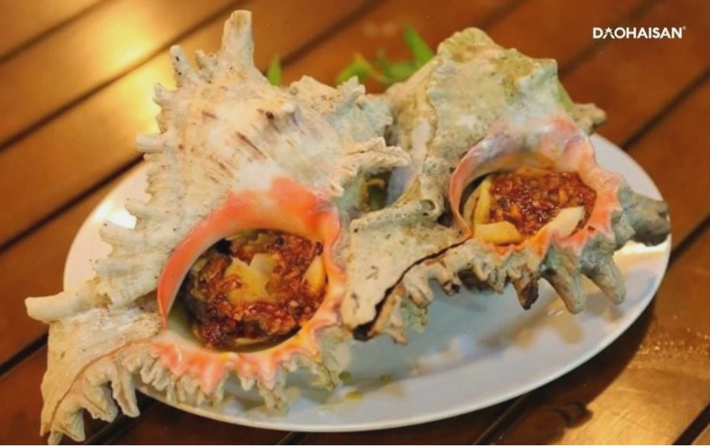 Thịt ốc gai ngọt và chắc