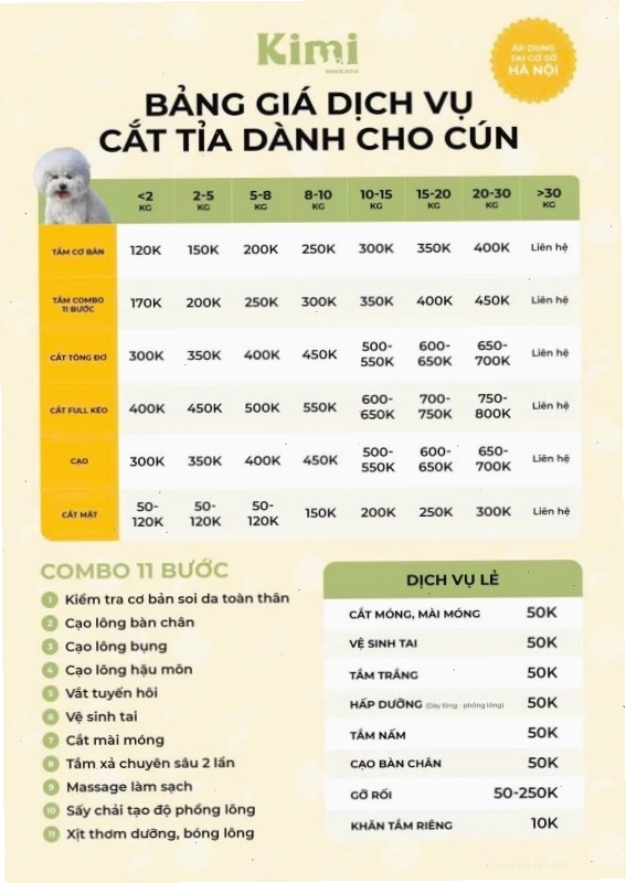 Thợ cắt tỉa lông chuyên nghiệp đang tạo kiểu cho một chú chó