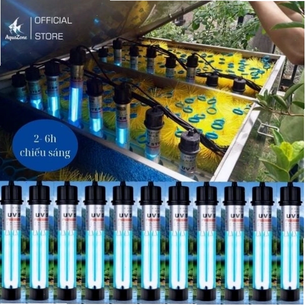 Thời gian chiếu sáng đèn UV hồ cá