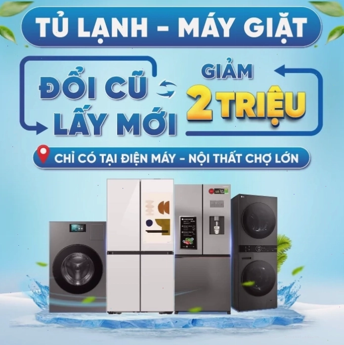 Thông điệp ý nghĩa từ hoa tulip