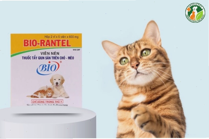 Thuốc xổ giun Bio Rantel cho mèo