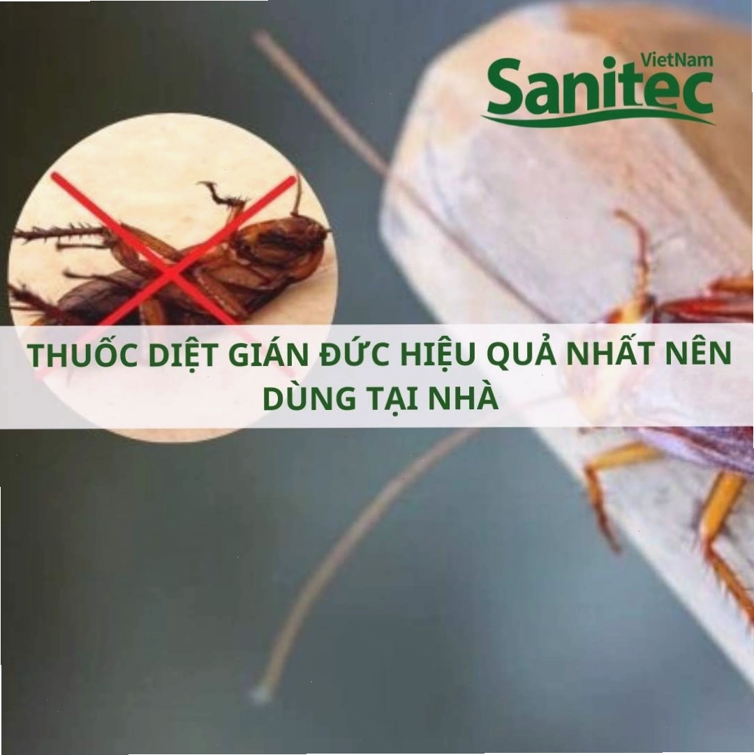 Trám kín các khe hở ngăn gián xâm nhập