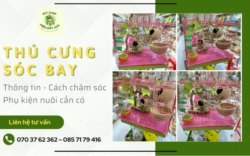 Tránh cho sóc bay Úc ăn hành tỏi