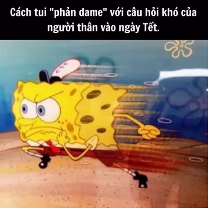 Tuyển tập meme tết độc đáo