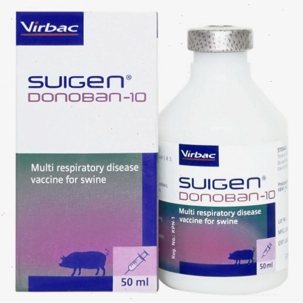 Vắc xin Donoban-10 phòng 6 bệnh phổ biến ở heo