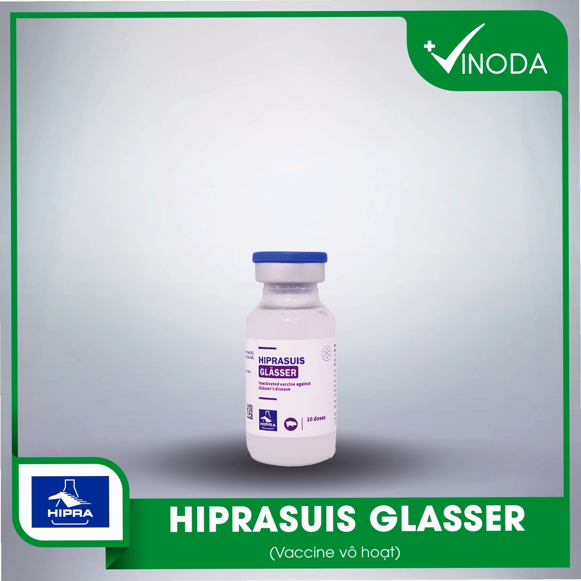 Vắc xin Hiprasuis Glasser phòng bệnh Glässer ở heo