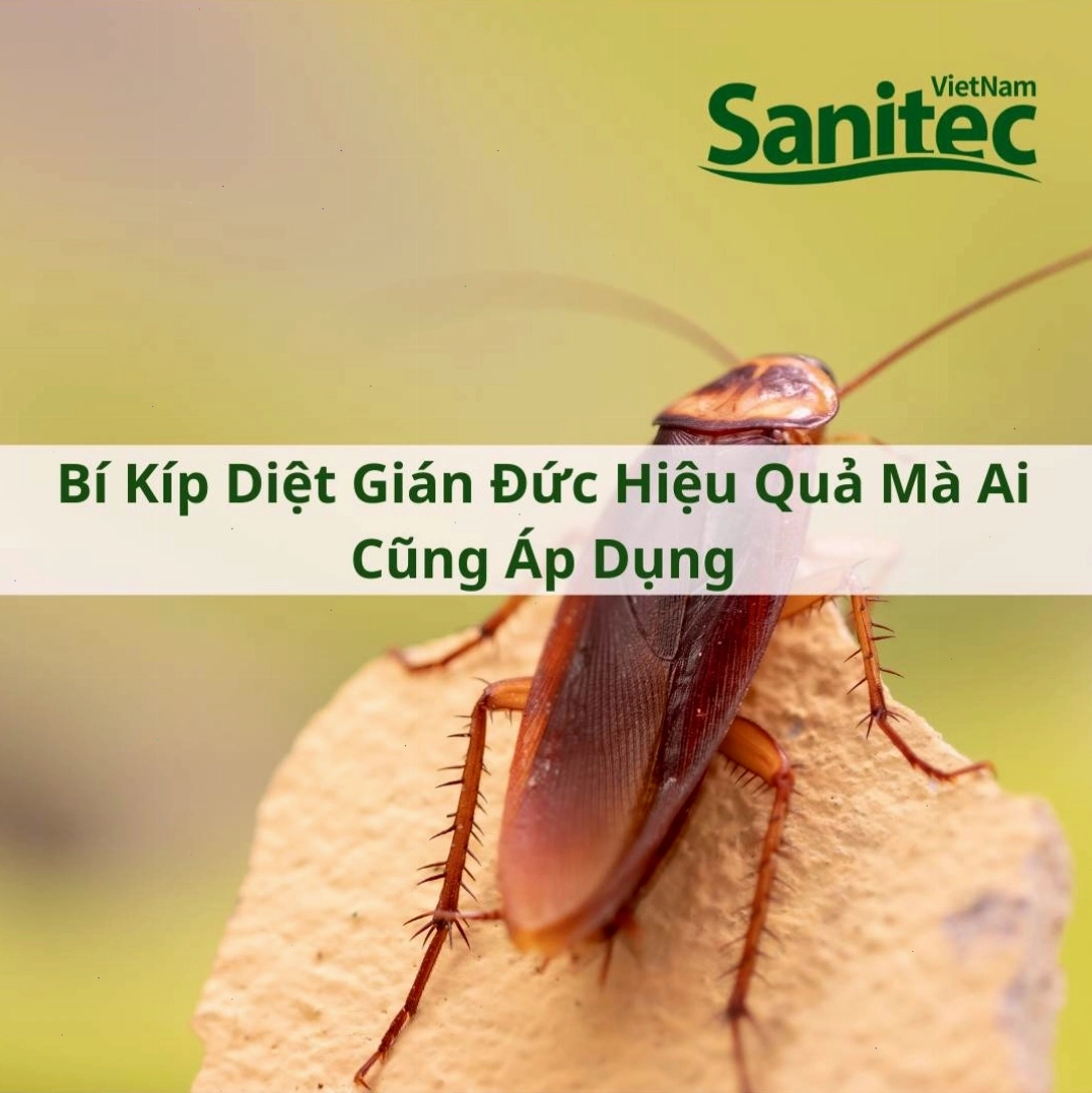 Vệ sinh khu vực bếp giúp ngăn chặn gián hiệu quả