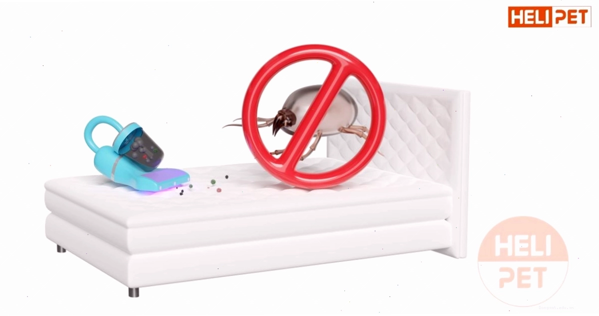 Vệ sinh sạch sẽ môi trường sống của mèo