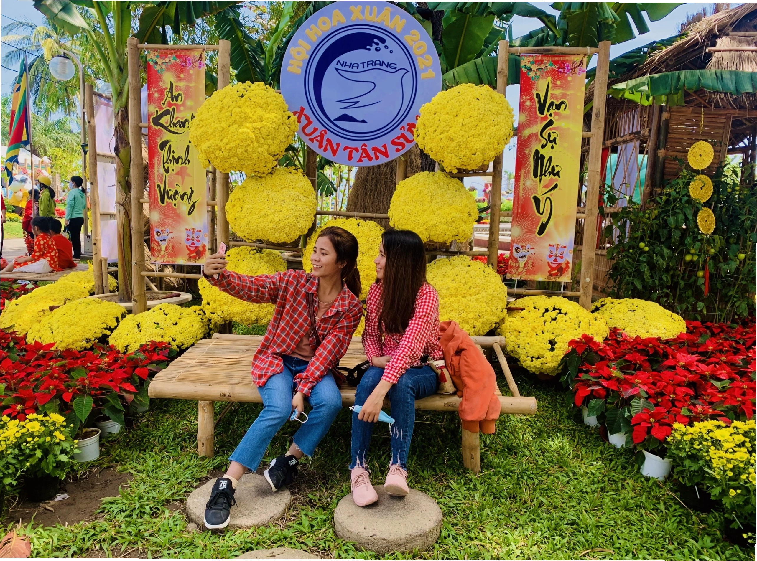 Vẹt và két trong môi trường sống