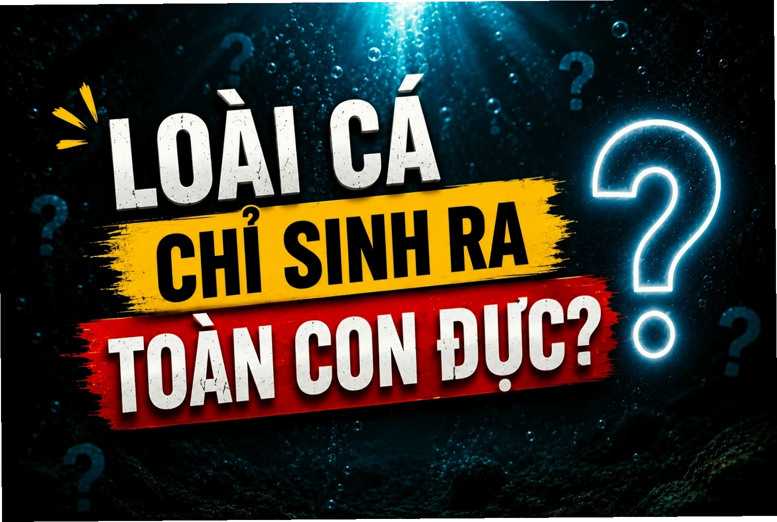 Vì sao có loài cá khi sinh ra đều là cá đực?