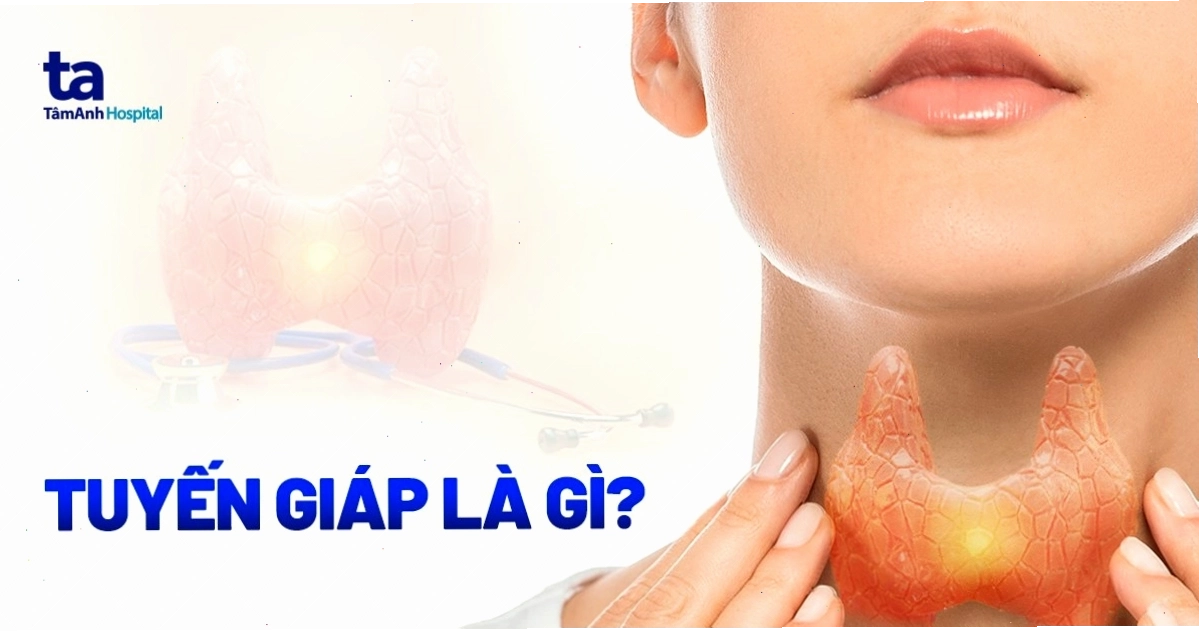 Vị trí và cấu tạo của tuyến giáp