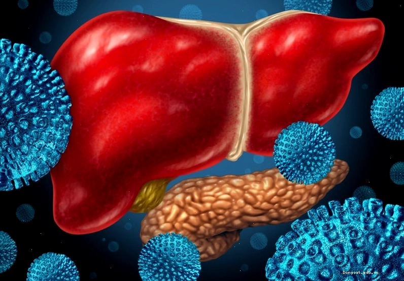 Viêm gan B là bệnh truyền nhiễm gây ra bởi virus HBV