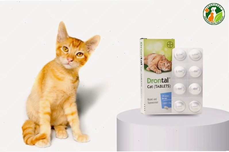 Viên thuốc tẩy giun Drontal cho mèo