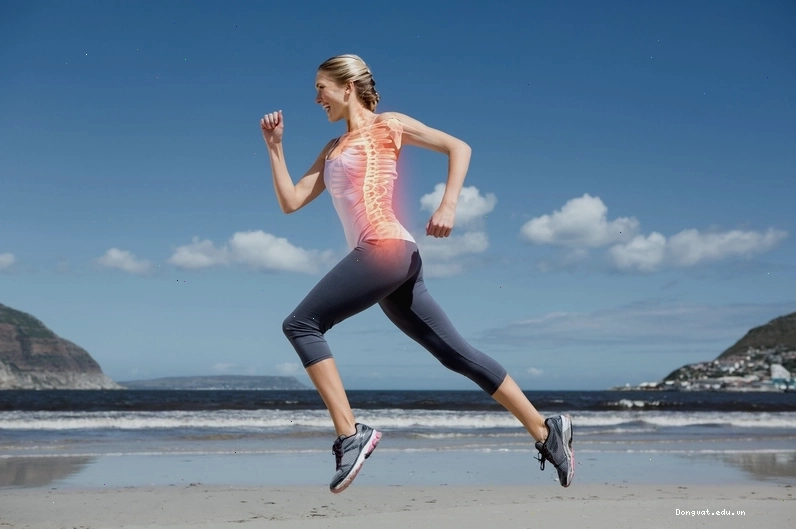 Vitamin B12 góp phần quan trọng trong việc duy trì sức khỏe xương khớp