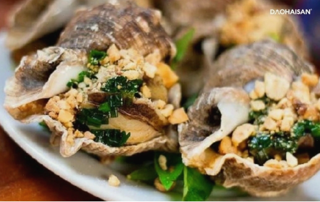 Vỏ ốc có nhiều màu sắc và hoa văn