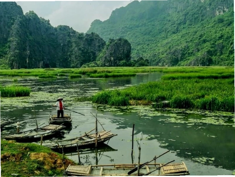 Voọc mông trắng quý hiếm tại Đầm Vân Long