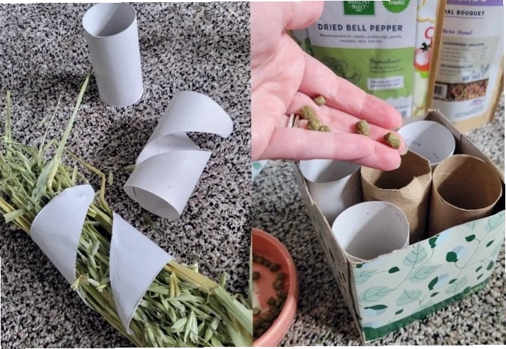 Rabbit playing with a stuffed paper towel roll