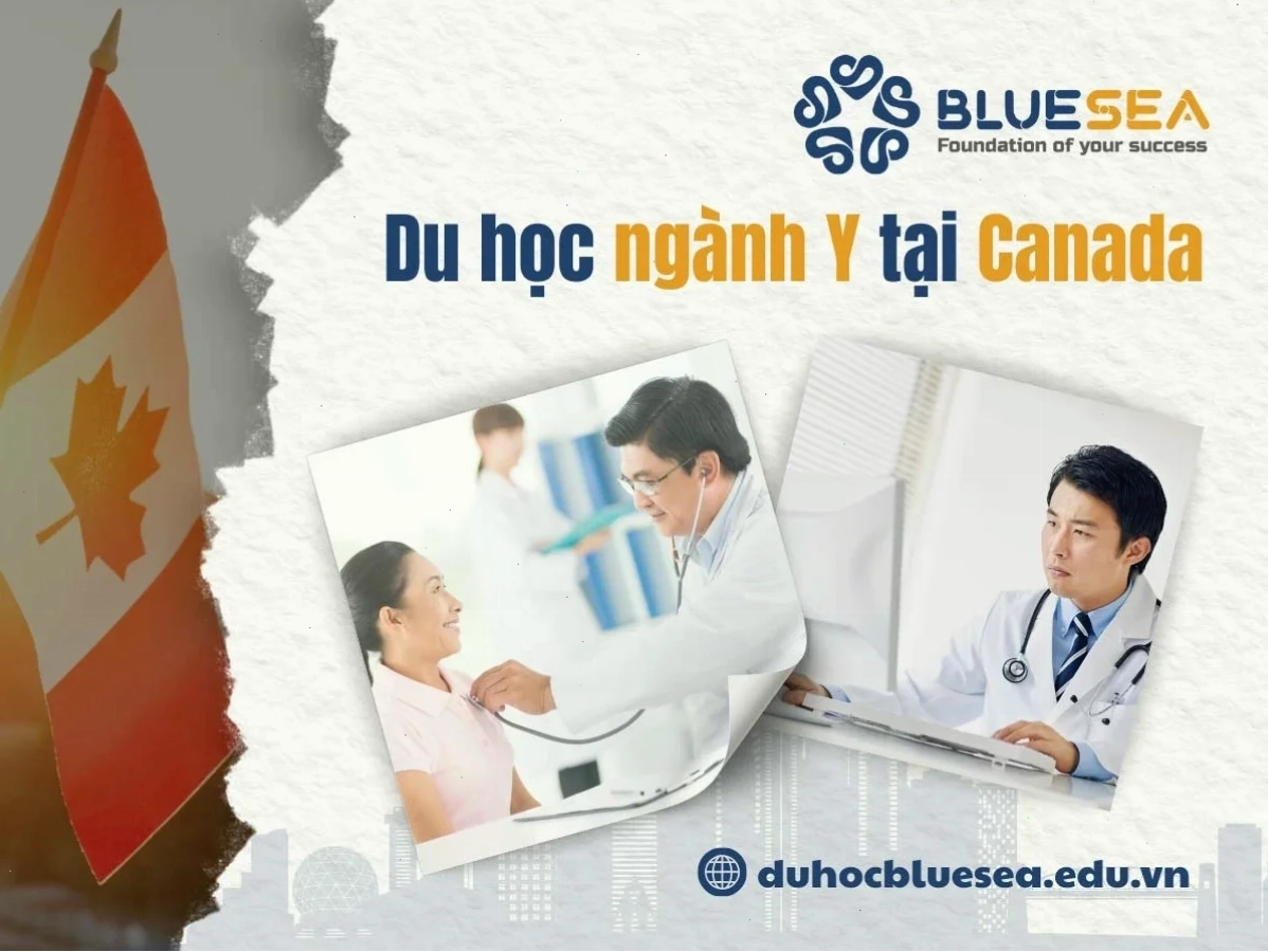 Cơ hội định cư sau khi tư vấn du học canada ngành y tá