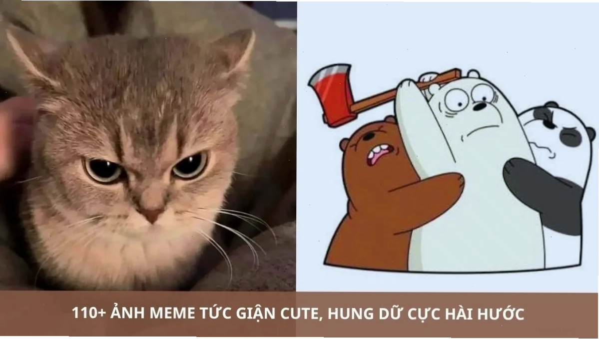 meme hài hước chế phim ảnh mới nhất thể hiện sự bất lực