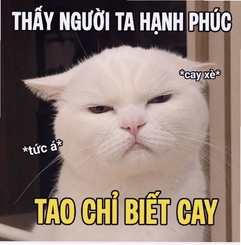 meme hài hước chế phim ảnh mới nhất với câu nói viral
