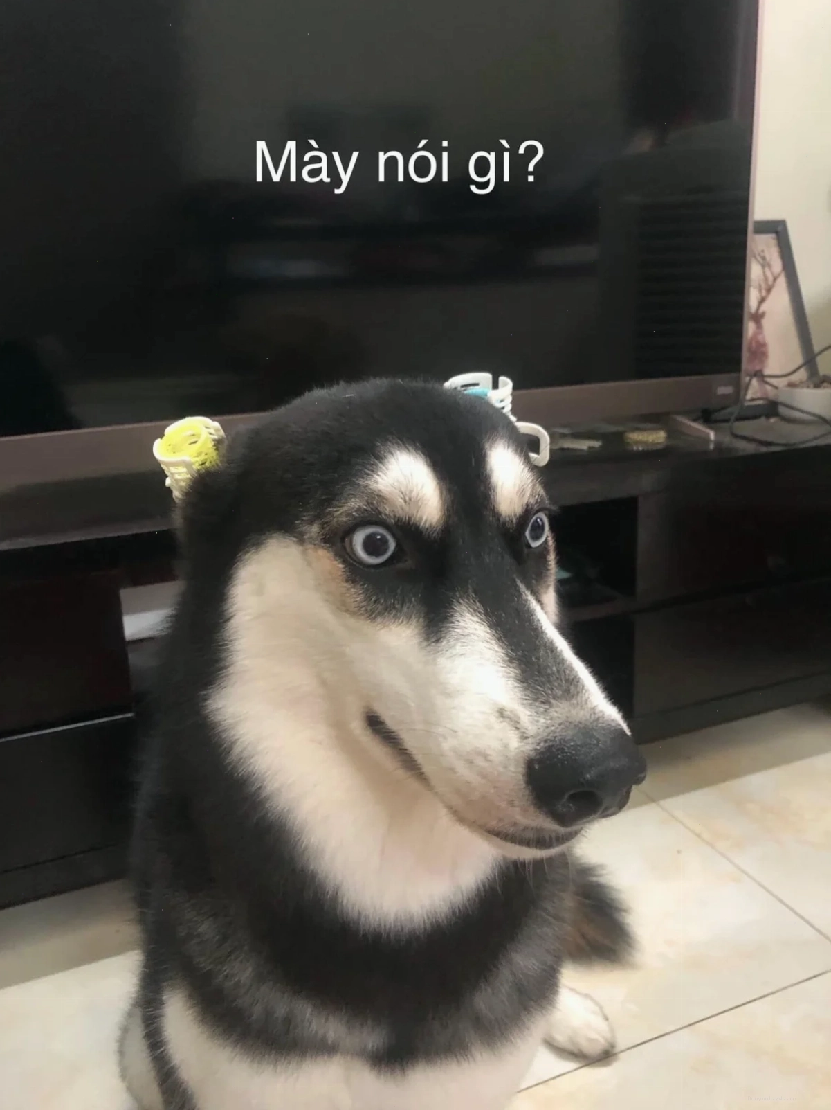 meme hài hước troll bạn bè
