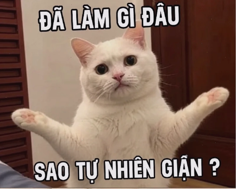 meme hài hước troll bạn bè