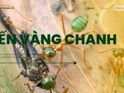 Khám phá kiến vàng chanh: Hé lộ bí ẩn của loài vật nhỏ bé
