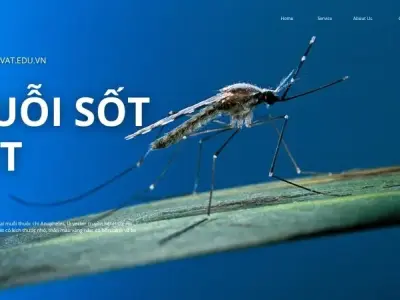Nỗi ám ảnh muỗi sốt rét: Cách phòng ngừa và điều trị hiệu quả