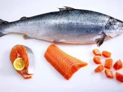 Sự thật thú vị về cá hồi mà có thể bạn chưa biết!