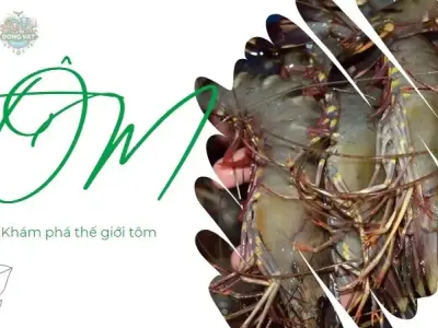 Khám phá thế giới tôm: Nguồn dinh dưỡng dồi dào từ thiên nhiên