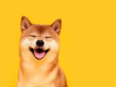 Bộ sưu tập ảnh avatar chó hài hước không thể bỏ qua