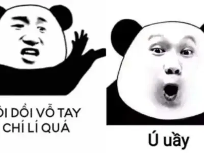 Bộ sưu tập ảnh avatar meme độc đáo gây ấn tượng với bạn bè