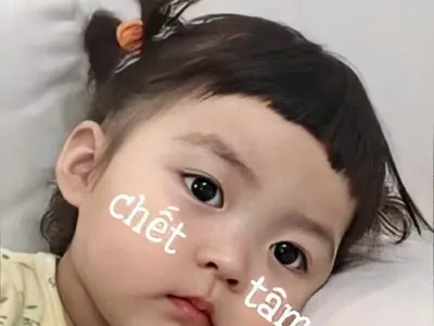 Bộ sưu tập ảnh em bé meme dễ thương cho mạng xã hội